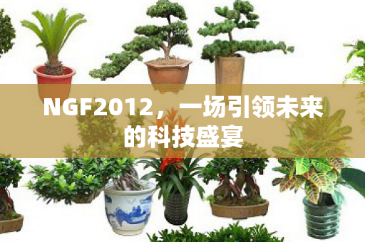 NGF2012，一场引领未来的科技盛宴