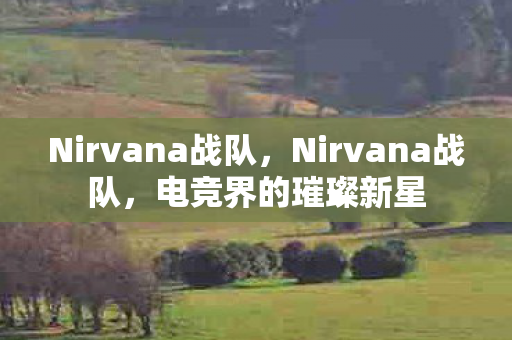 Nirvana战队，Nirvana战队，电竞界的璀璨新星