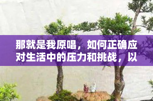 那就是我原唱，如何正确应对生活中的压力和挑战，以积极心态面对压力挑战