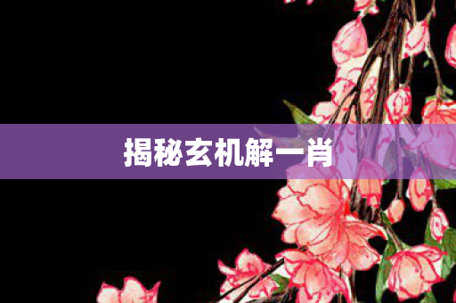 揭秘玄机解一肖