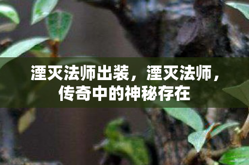 湮灭法师出装，湮灭法师，传奇中的神秘存在