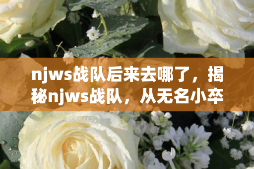 njws战队后来去哪了，揭秘njws战队，从无名小卒到电竞巨头的崛起之路