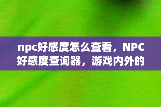 npc好感度怎么查看，NPC好感度查询器，游戏内外的情感交互新体验