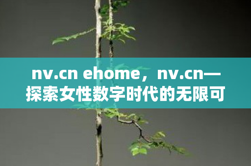 nv.cn ehome，nv.cn—探索女性数字时代的无限可能