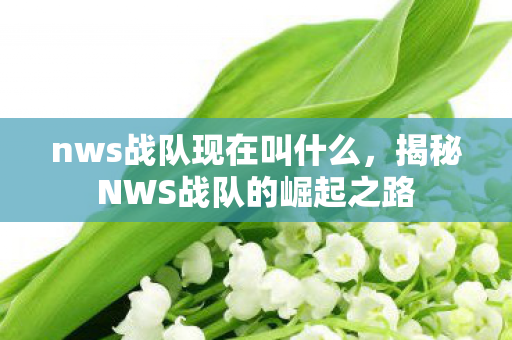 nws战队现在叫什么，揭秘NWS战队的崛起之路