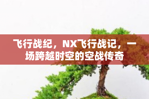 飞行战纪，NX飞行战记，一场跨越时空的空战传奇