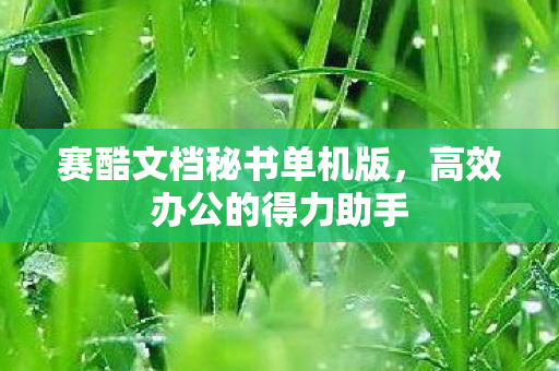 赛酷文档秘书单机版，高效办公的得力助手