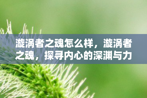 漩涡者之魂怎么样，漩涡者之魂，探寻内心的深渊与力量的源泉