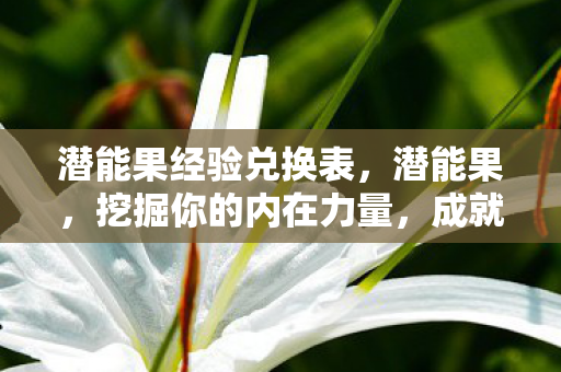 潜能果经验兑换表，潜能果，挖掘你的内在力量，成就无限可能
