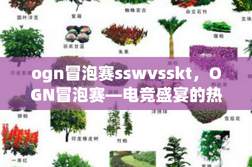 ogn冒泡赛sswvsskt，OGN冒泡赛—电竞盛宴的热血瞬间
