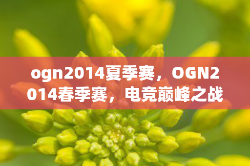 ogn2014夏季赛，OGN2014春季赛，电竞巅峰之战的热血篇章