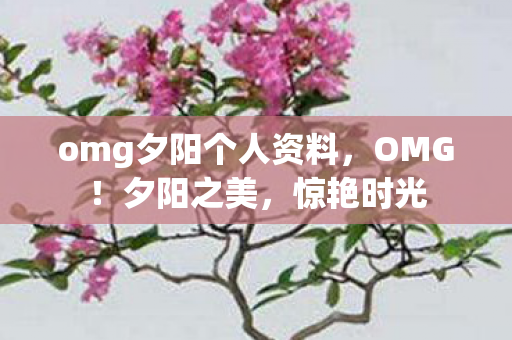 omg夕阳个人资料，OMG！夕阳之美，惊艳时光