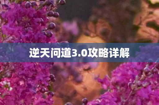 逆天问道3.0攻略详解