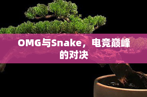 OMG与Snake，电竞巅峰的对决