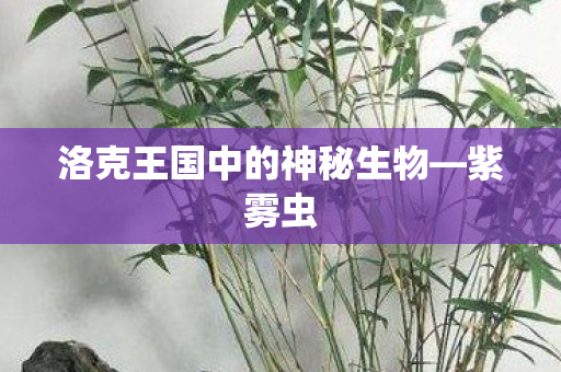 洛克王国中的神秘生物—紫雾虫