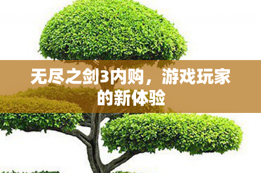 无尽之剑3内购，游戏玩家的新体验