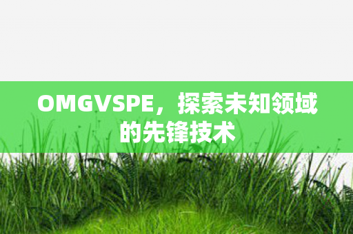 OMGVSPE，探索未知领域的先锋技术
