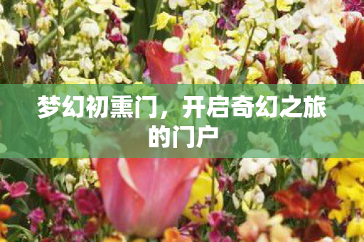 梦幻初熏门，开启奇幻之旅的门户