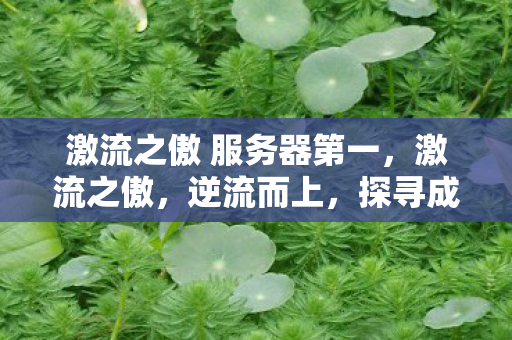 激流之傲 服务器第一，激流之傲，逆流而上，探寻成功的力量源泉