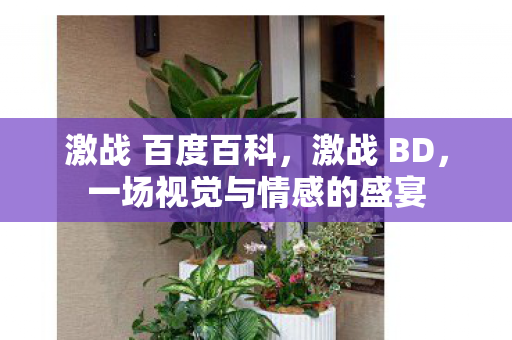激战 百度百科，激战 BD，一场视觉与情感的盛宴