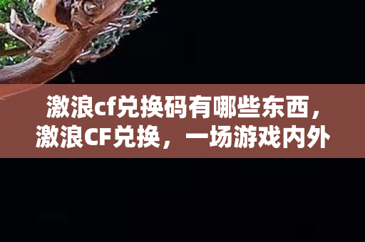 激浪cf兑换码有哪些东西，激浪CF兑换，一场游戏内外的狂欢盛宴