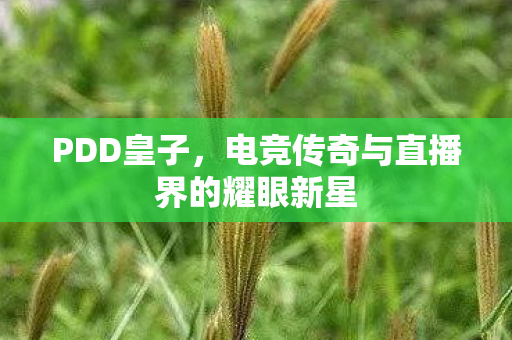 PDD皇子，电竞传奇与直播界的耀眼新星