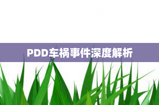 PDD车祸事件深度解析