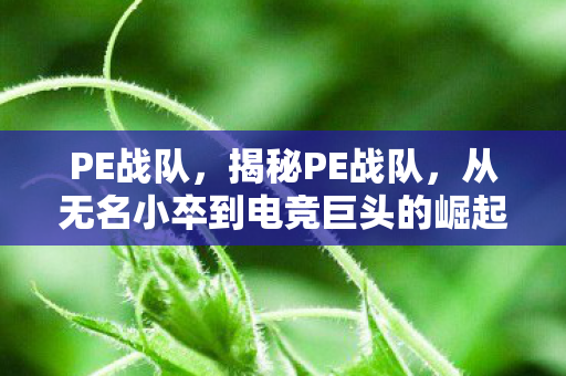 PE战队，揭秘PE战队，从无名小卒到电竞巨头的崛起之路