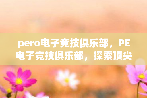 pero电子竞技俱乐部，PE电子竞技俱乐部，探索顶尖电竞之路的传奇之旅
