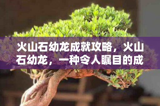 火山石幼龙成就攻略，火山石幼龙，一种令人瞩目的成就与独特魅力的展现