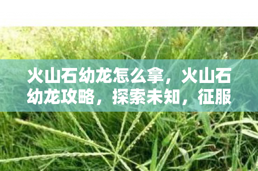 火山石幼龙怎么拿，火山石幼龙攻略，探索未知，征服奇幻世界