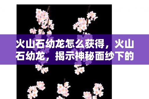 火山石幼龙怎么获得，火山石幼龙，揭示神秘面纱下的独特魅力