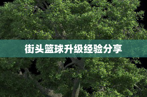 街头篮球升级经验分享