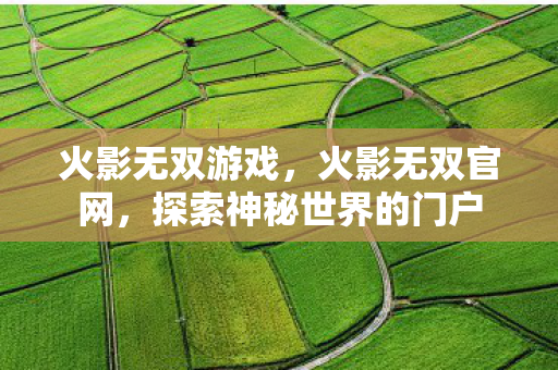 火影无双游戏，火影无双官网，探索神秘世界的门户