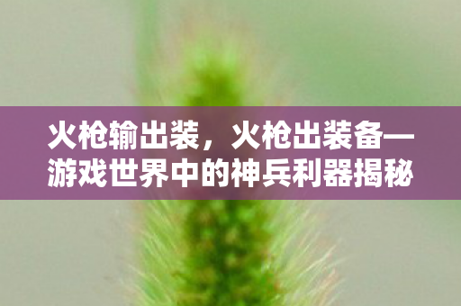 火枪输出装，火枪出装备—游戏世界中的神兵利器揭秘