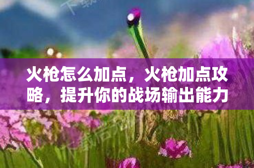 火枪怎么加点，火枪加点攻略，提升你的战场输出能力
