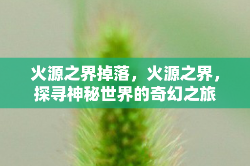 火源之界掉落，火源之界，探寻神秘世界的奇幻之旅