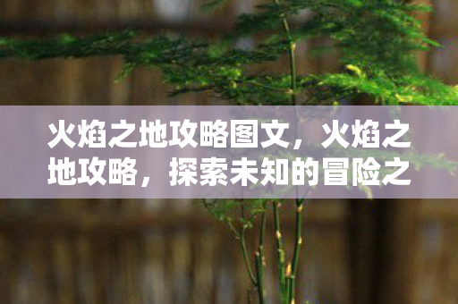 火焰之地攻略图文，火焰之地攻略，探索未知的冒险之旅