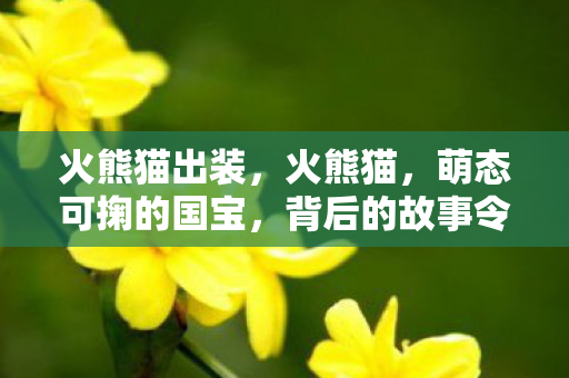 火熊猫出装，火熊猫，萌态可掬的国宝，背后的故事令人感动