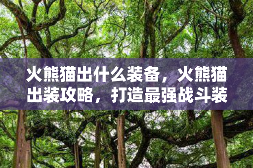 火熊猫出什么装备，火熊猫出装攻略，打造最强战斗装备