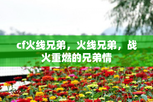 cf火线兄弟，火线兄弟，战火重燃的兄弟情