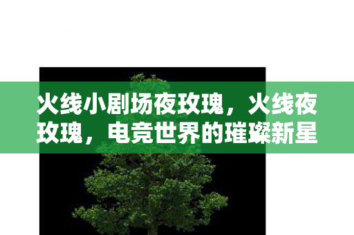 火线小剧场夜玫瑰，火线夜玫瑰，电竞世界的璀璨新星