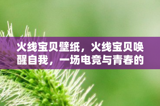 火线宝贝壁纸，火线宝贝唤醒自我，一场电竞与青春的热血奋斗