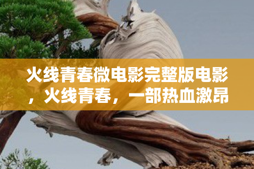 火线青春微电影完整版电影，火线青春，一部热血激昂的青春微电影