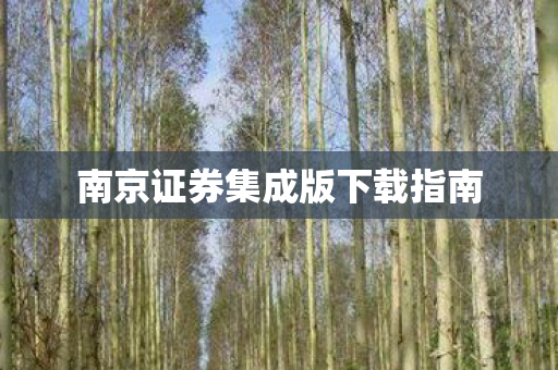 南京证券集成版下载指南