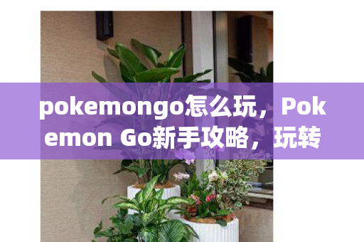 pokemongo怎么玩，Pokemon Go新手攻略，玩转这个口袋妖怪世界的必备指南