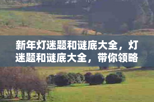 新年灯迷题和谜底大全，灯迷题和谜底大全，带你领略千年文化魅力