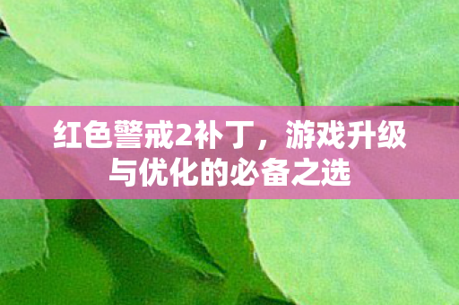 红色警戒2补丁，游戏升级与优化的必备之选