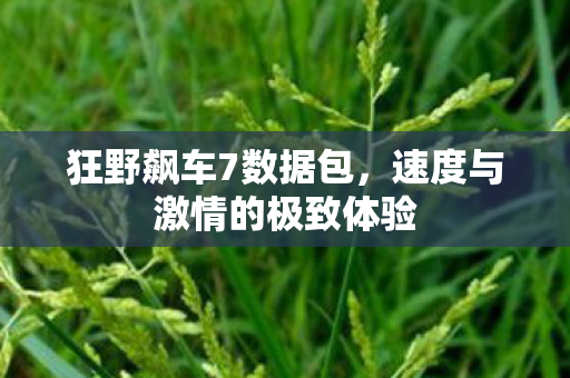 狂野飙车7数据包，速度与激情的极致体验