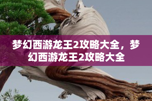 梦幻西游龙王2攻略大全，梦幻西游龙王2攻略大全